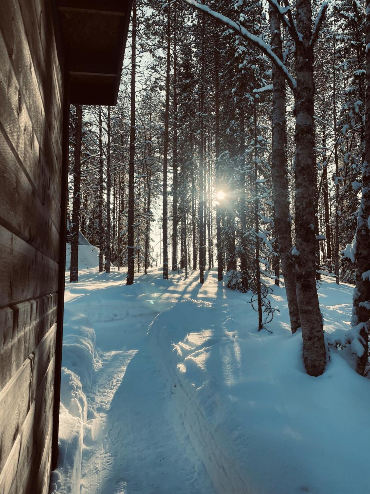 Skyfire Village Igloos * Rovaniemi