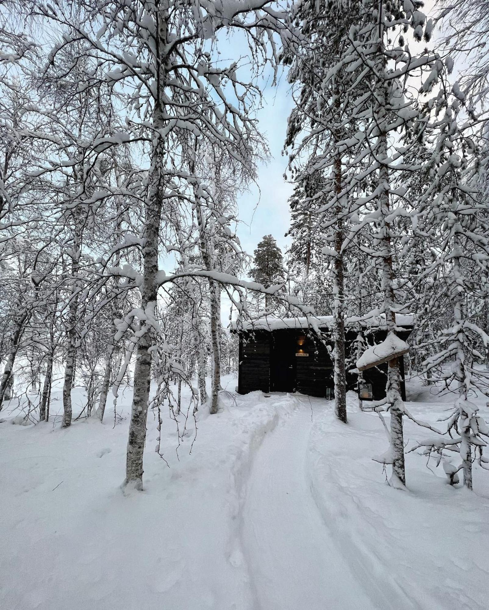 Skyfire Village Igloos * Rovaniemi